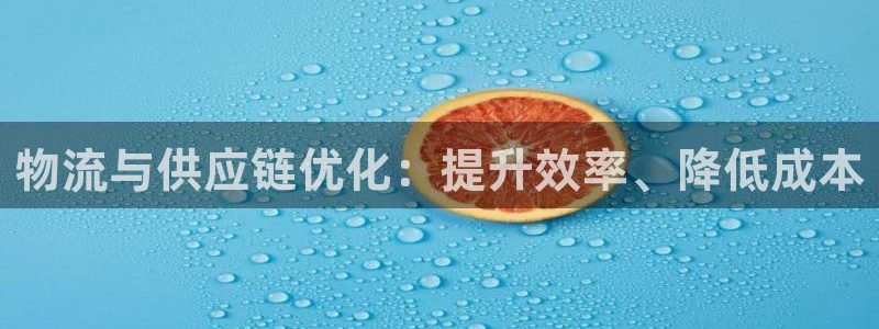 28圈注册链接：物流与供应链优化：提
