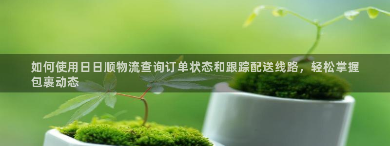28圈注册网页：如何使用日日顺物流查