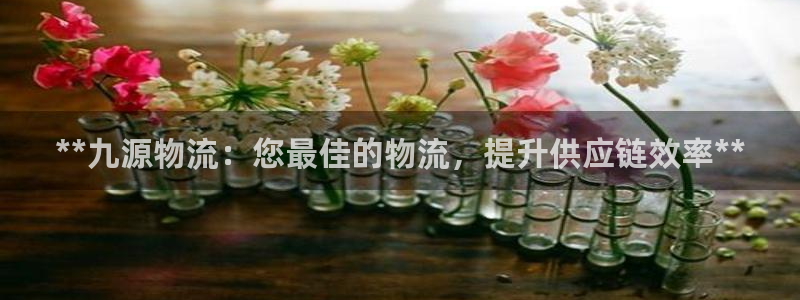 28圈怎么申请代理：**九源物流：您