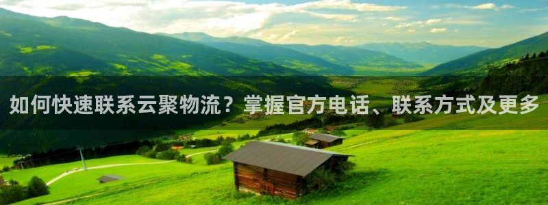 28圈下载体育：如何快速联系云聚物流