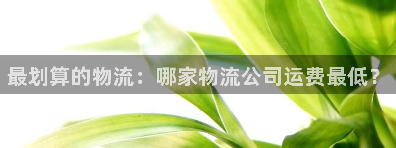 28圈初始密码在哪里修改：最划算的物