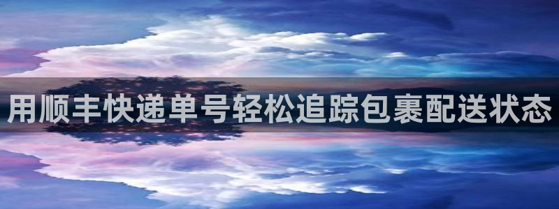 28圈p扣除是什么意思：用顺丰快递单