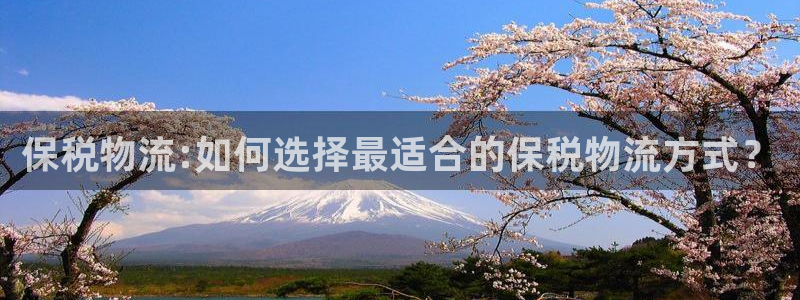 28圈可以退款吗：保税物流:如何选择最适合的保税物流方式？
