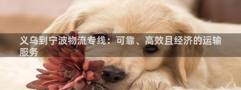 28圈初始资金密码是什么：义乌到宁波