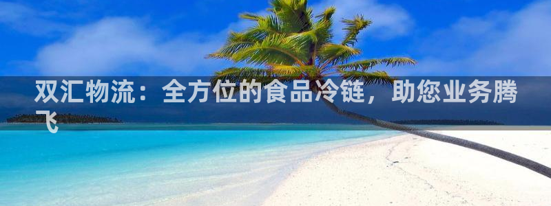 28圈登录不上咋回事：双汇物流：全方