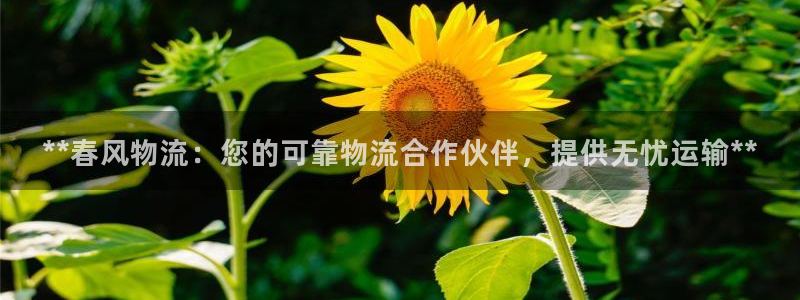 28圈新用户怎么注册：**春风物流：