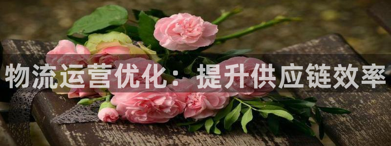 28圈的平台：物流运营优化：提升供应