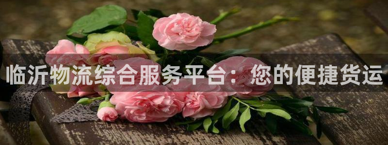 28圈和南宫28什么关系：临沂物流综