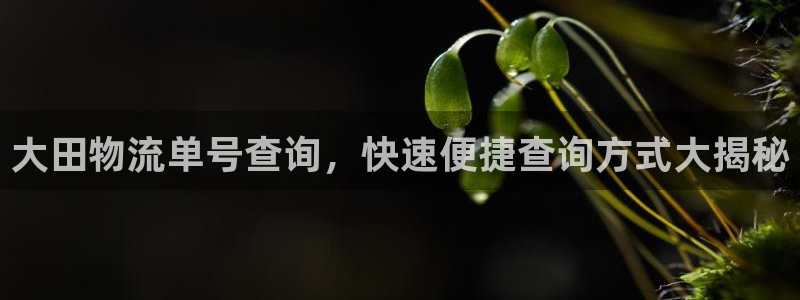 南宫28圈官网版