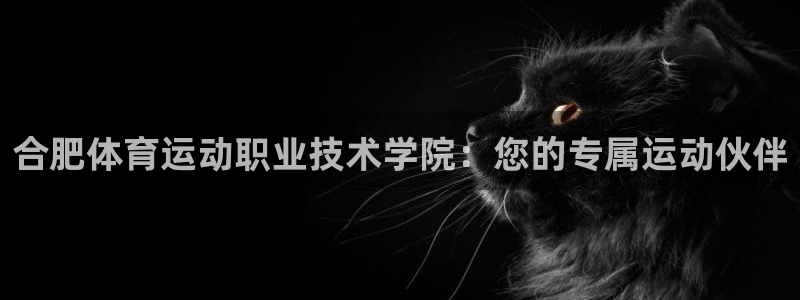 678体育官网地址