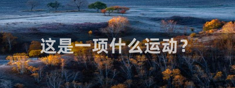 678体育app